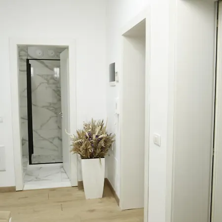 Albi Appartement *