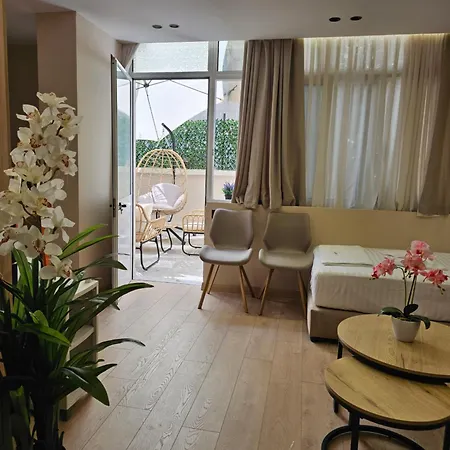 Albi Appartement