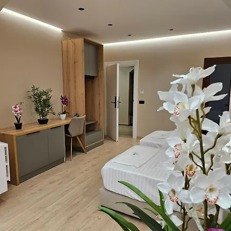 Albi Appartement *